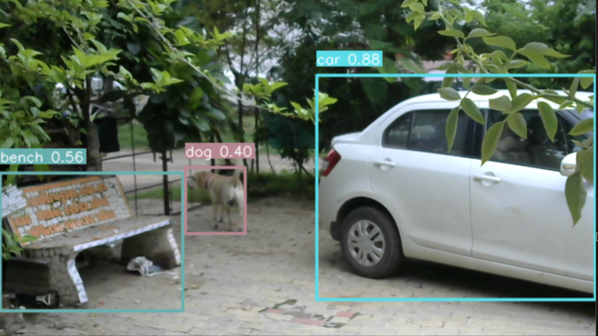 YOLO Object Detection & Segmentation